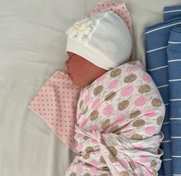 Dagestan and Chechnya are the leading regions in terms of birth rates in the North Caucasus