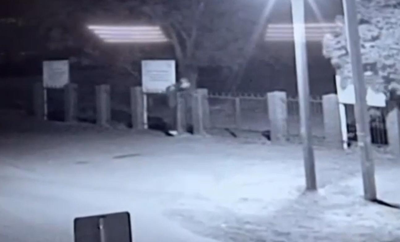 In Adygea, an unknown person hung a pig's head near a mosque