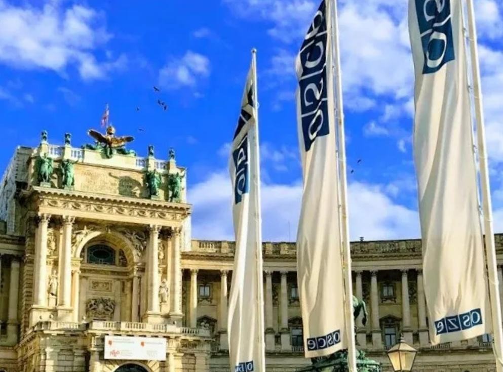 Georgian authorities and opposition comment on OSCE PA resolution