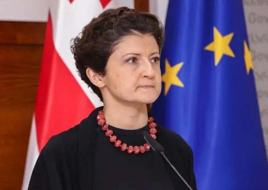 The leadership of the temporary investigative commission to investigate the activities of Mikheil Saakashvili's government has been approved