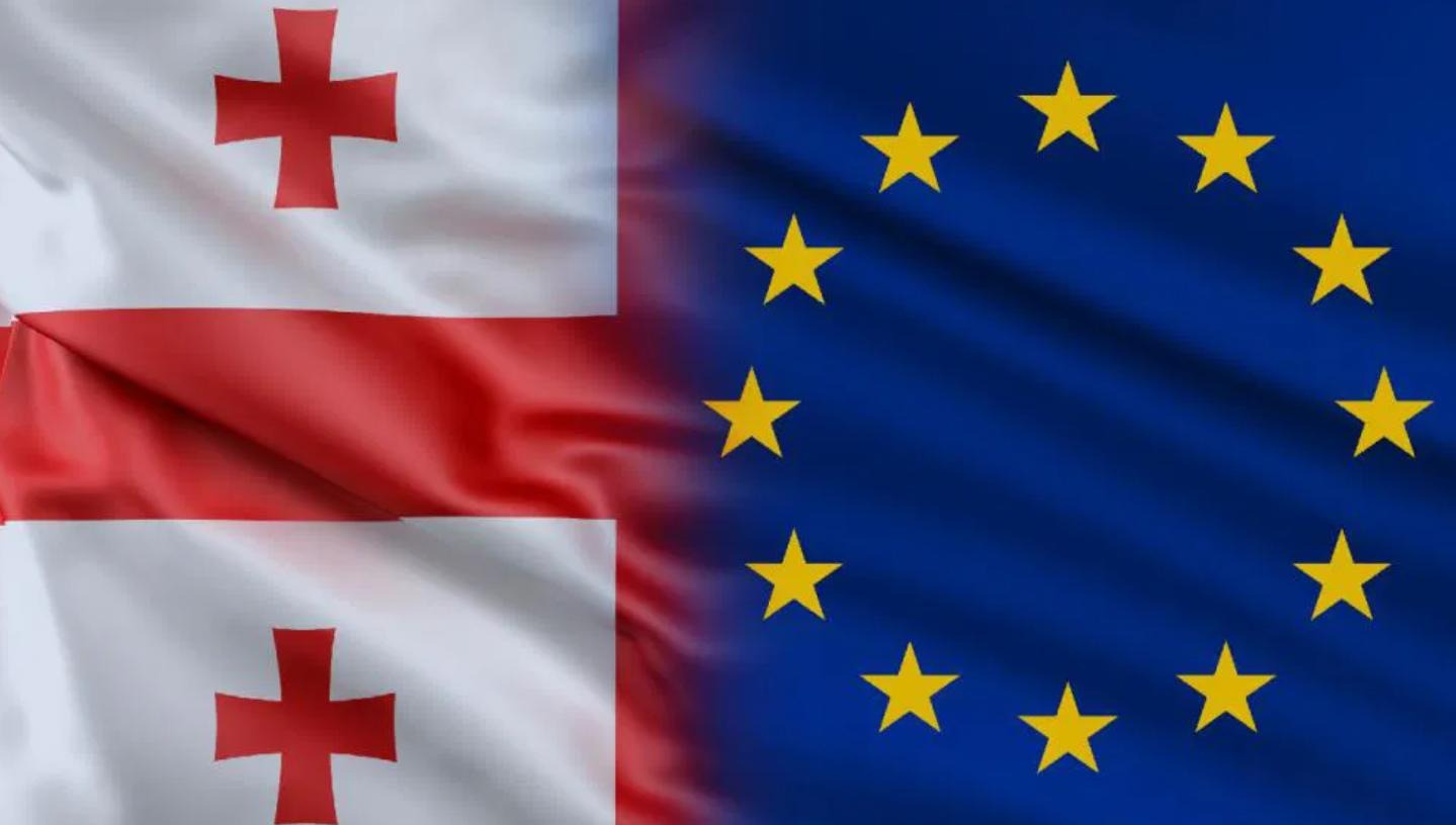The EU harshly criticized the repressive innovations in Georgian legislation
