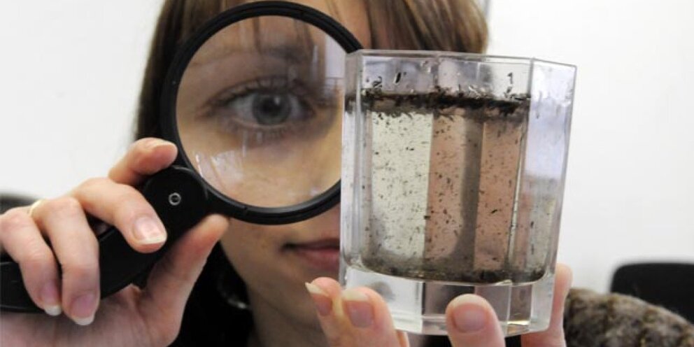 Количество отравившихся питьевой водой в Дагестане выросло до 274 человек