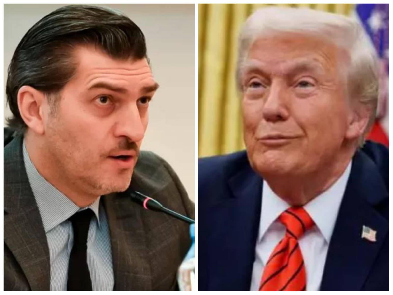 Kavelashvili suggested Trump 