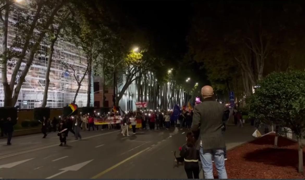 A march in support of the German ambassador, accused by authorities of supporting extremism, took place in Georgia