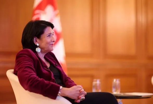 Zurabishvili discussed the initiative to hold new elections with European leaders