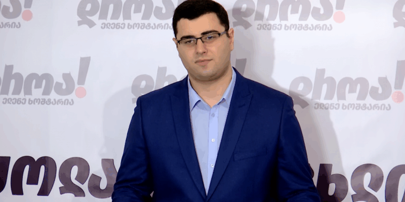 Член «Дроа» прокомментировал отмену переговоров Грузии и ЕС по вопросам прав человека