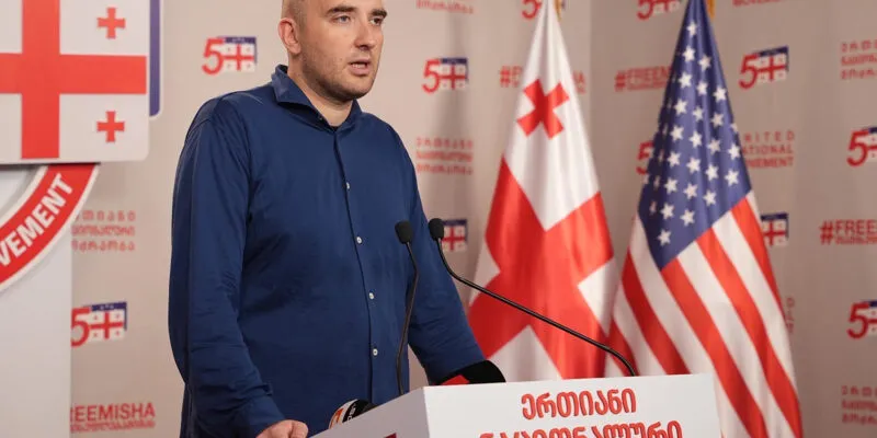 Замгенсека ЕНД осудил заявление спикера парламента Грузии