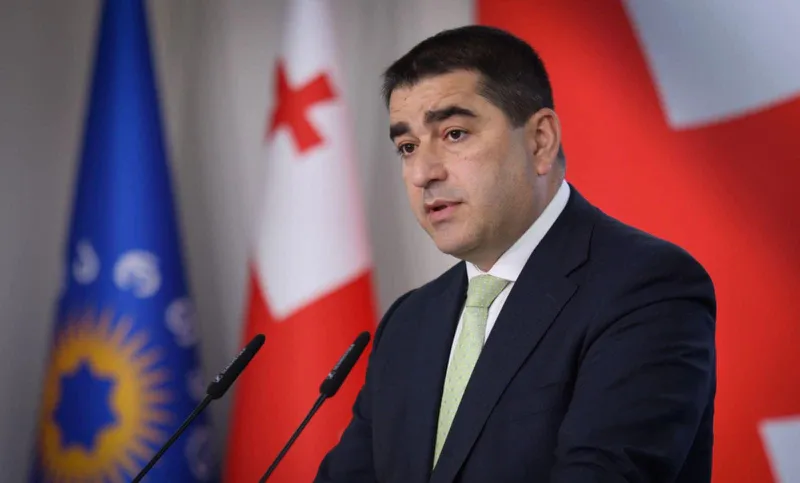 Папуашвили — о ситуации в Украине: это тот путь, который нам предлагала оппозиция