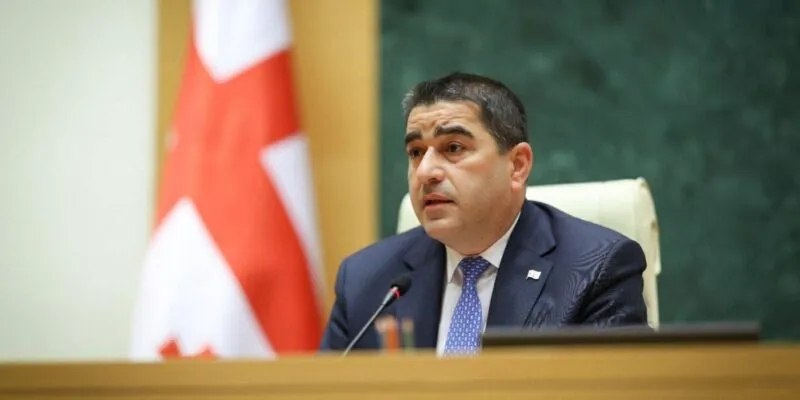 «Это их выбор»: спикер парламента Грузии — о решении немецких фондов покинуть страну