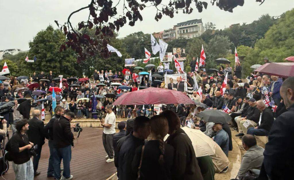 В Тбилиси провели акцию за освобождение Саакашвили, несмотря на запрет МВД