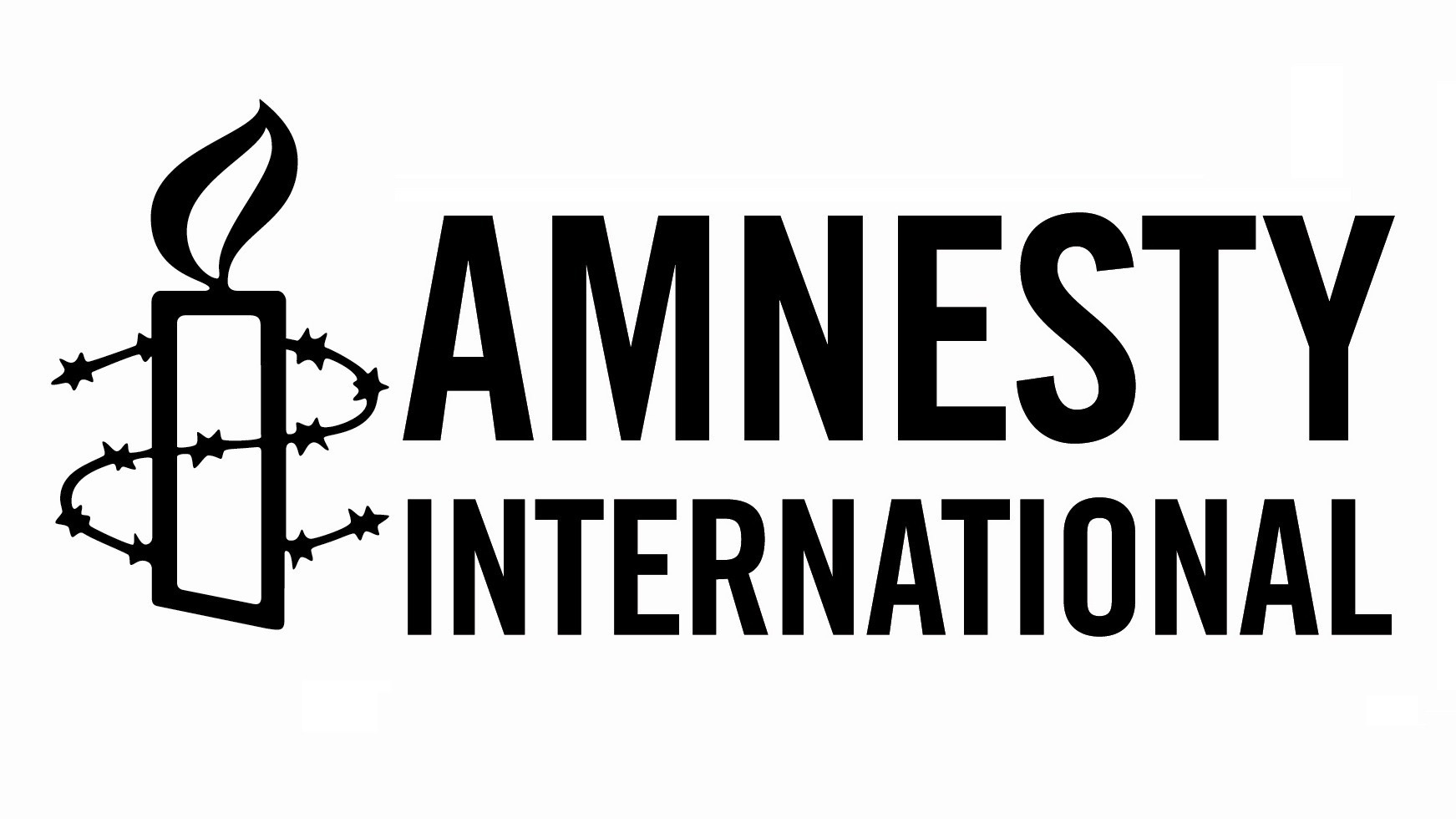 Amnesty International указала на нарушения прав человека в Грузии