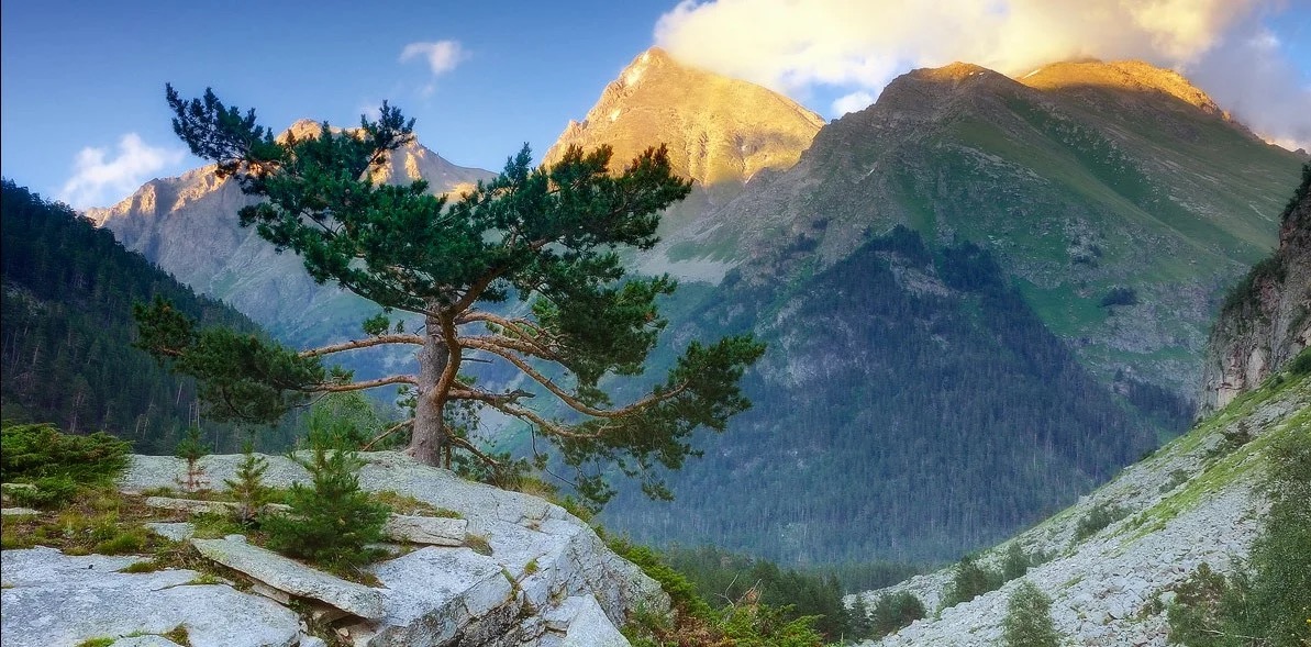 Самыми счастливыми оказались жители Северного Кавказа