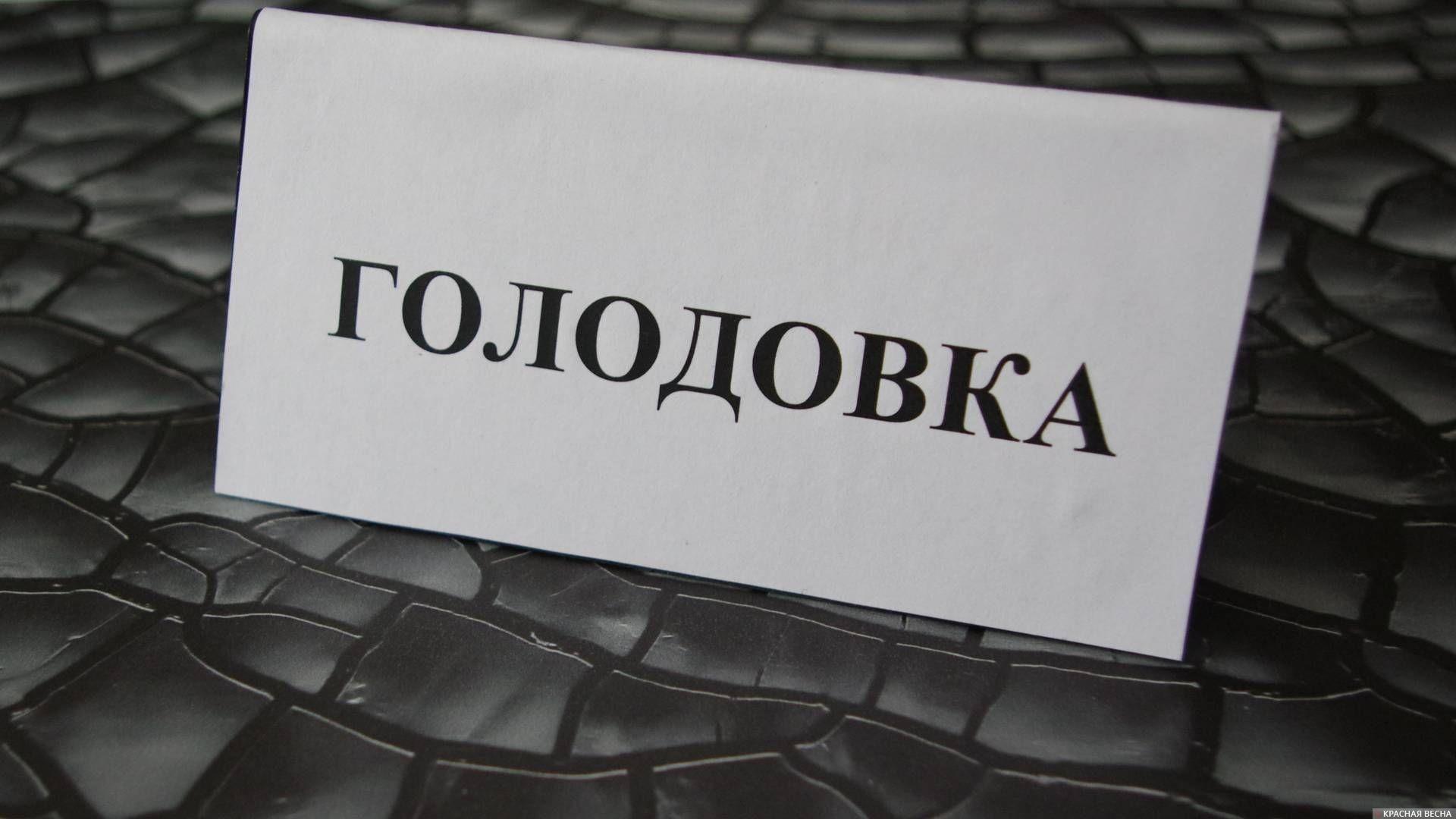 In Azerbaijan, an oppositionist and a journalist continue their hunger strike in custody