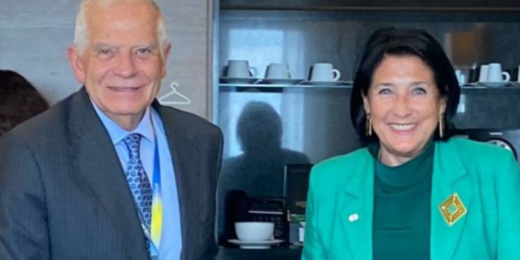 EU High Commissioner for Foreign Affairs supported Georgia