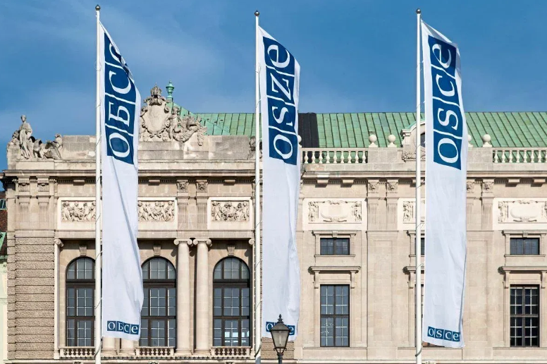 В Вене пикетировали в поддержку уроженцев Чечни, не желающих воевать против Украины