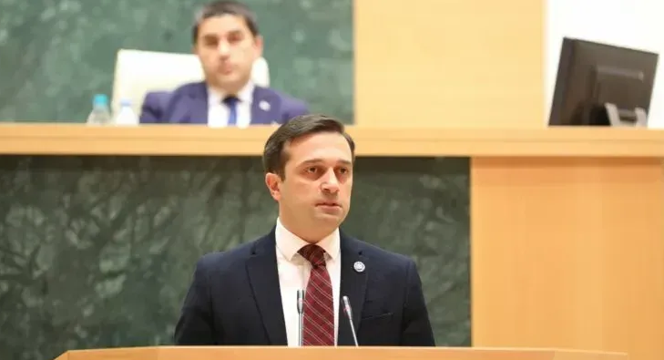 Омбудсмен Грузии раскритиковал полицию за ограничения собраний и мнений