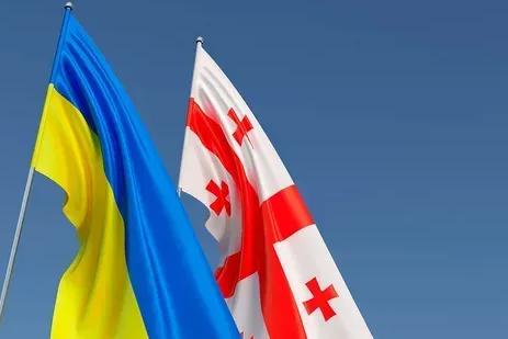 Власти Грузии отреагировали на слова Зеленского об освобождении страны