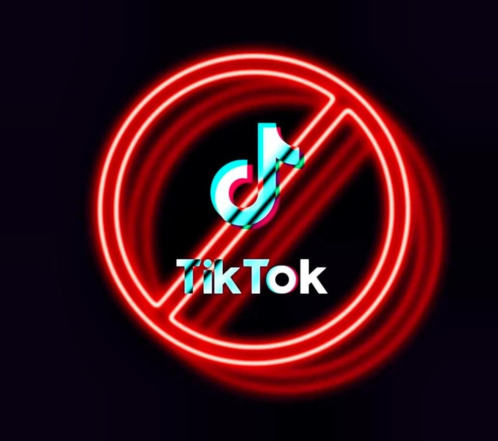TikTok Blocks Sputnik Georgia and Sputnik Abkhazia