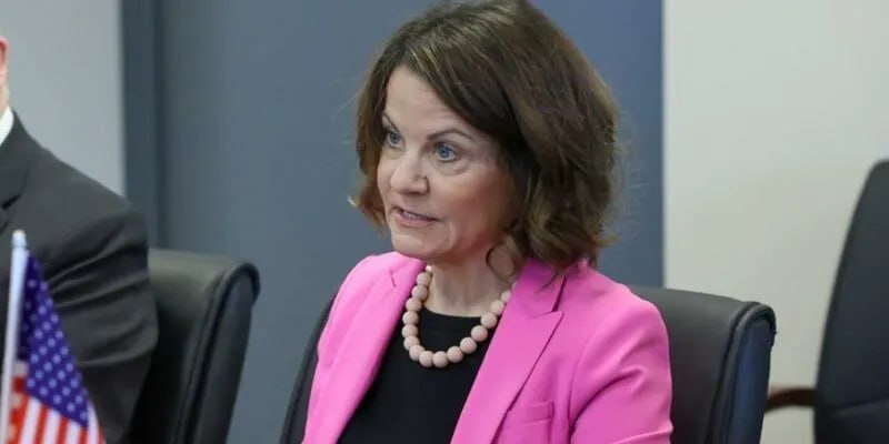 US Ambassador to Georgia and Prime Minister Exchange Criticism