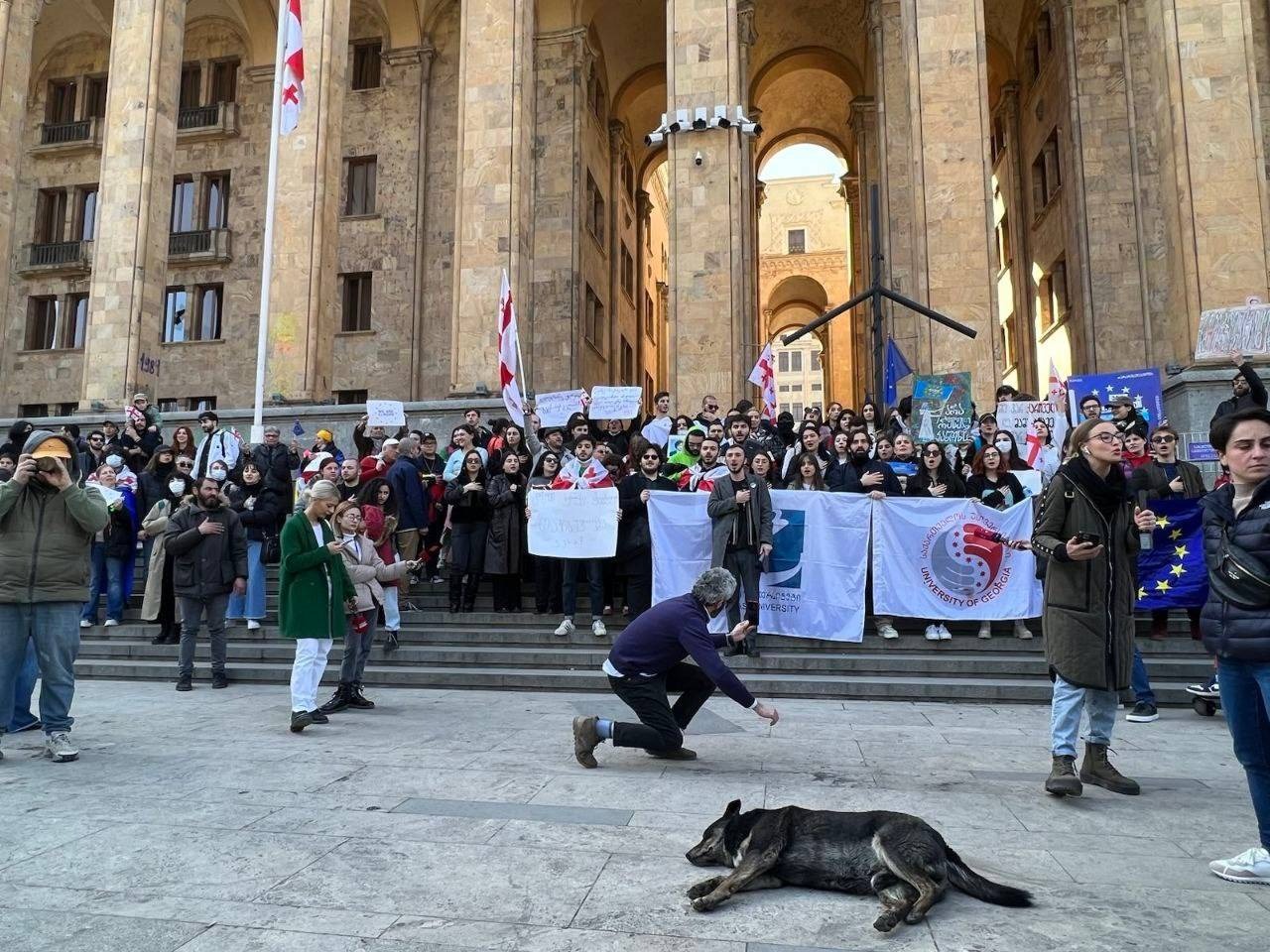 In Georgia Simonian’s Threats to «Hit Tbilisi» Were Addressed