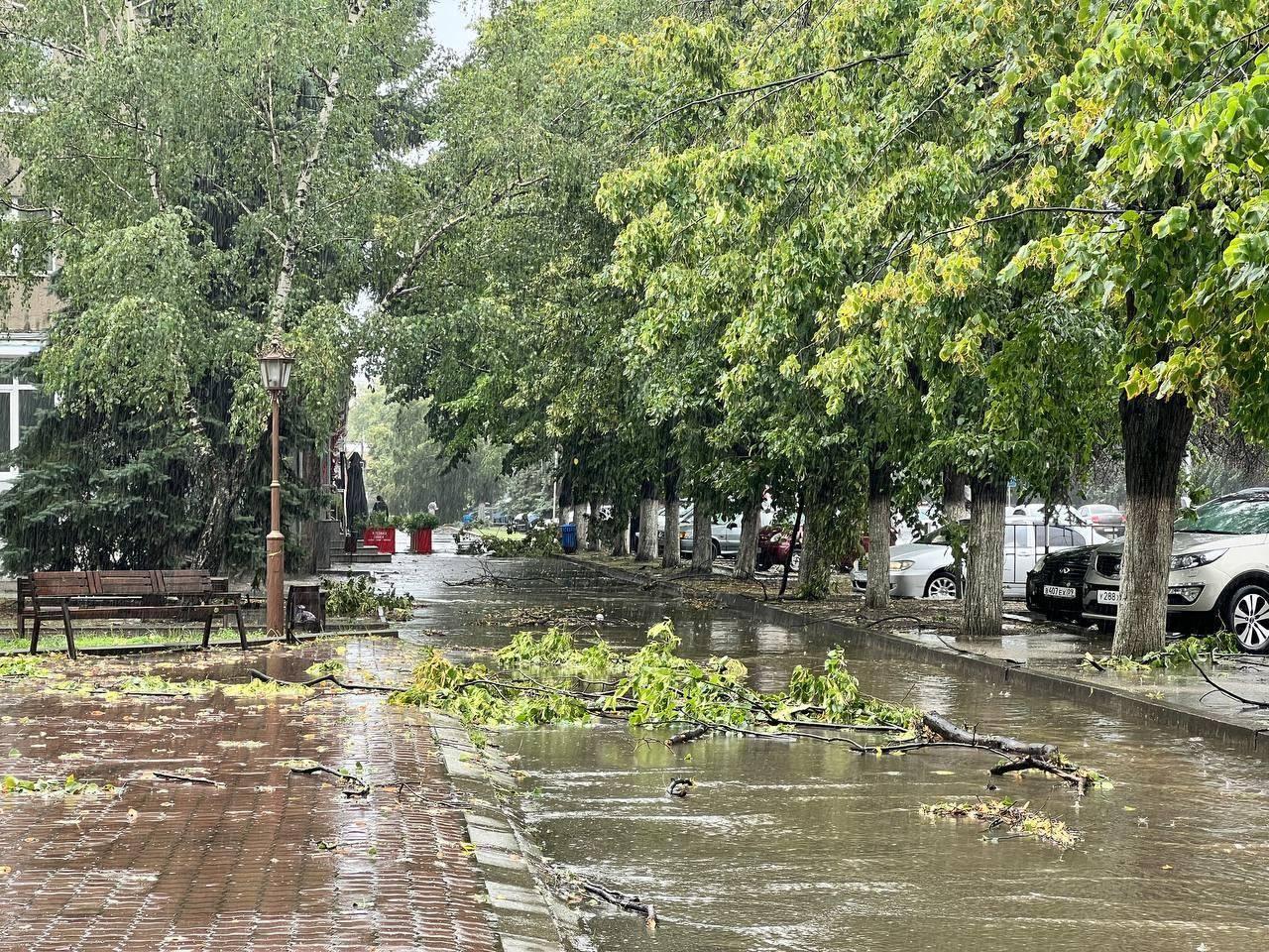 В столице КЧР после падения дерева от сильного ветра погиб молодой человек