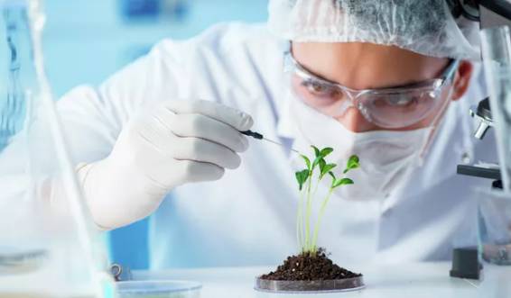 Самые низкие оклады ученых по России – в Ингушетии, Северной Осетии и Дагестане