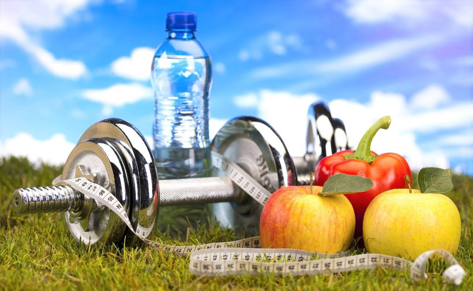 Chechnya, Dagestan and KBR are named leaders in commitment to a healthy lifestyle