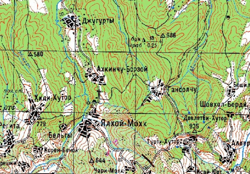 Убийство девочки в Ачхой-Мартане, «зачистка» в Ахкинчу-Борзое, Бельтах и других населенных пунктах, похищение двоих жителей Зебир-Юрта