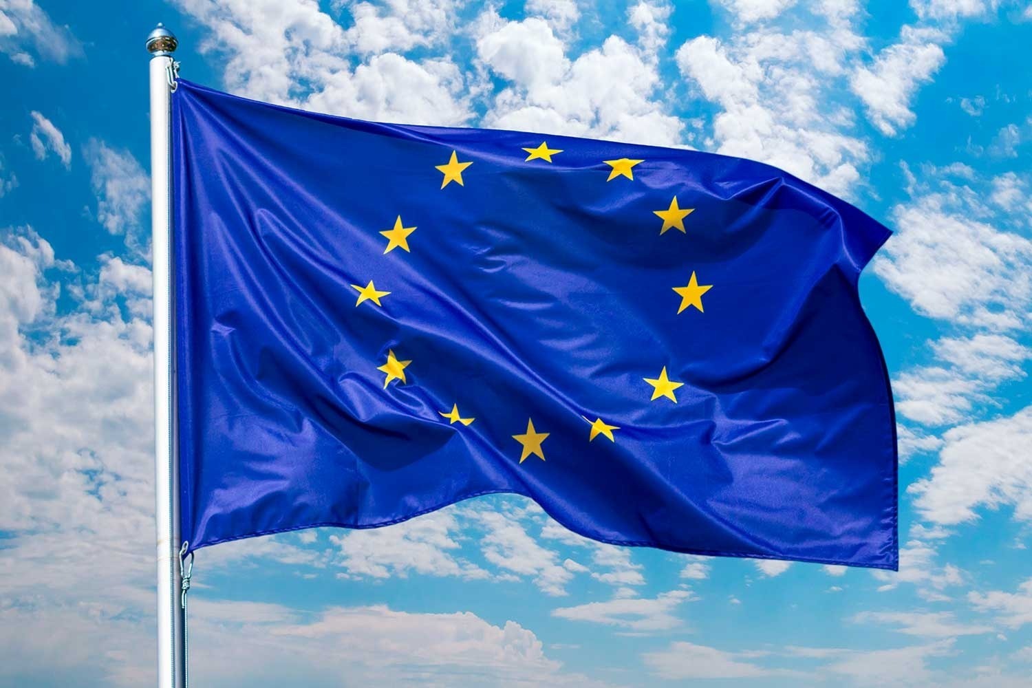 В Грузии привлекли к ответственности прокремлевских активистов за сожжение флага Евросоюза