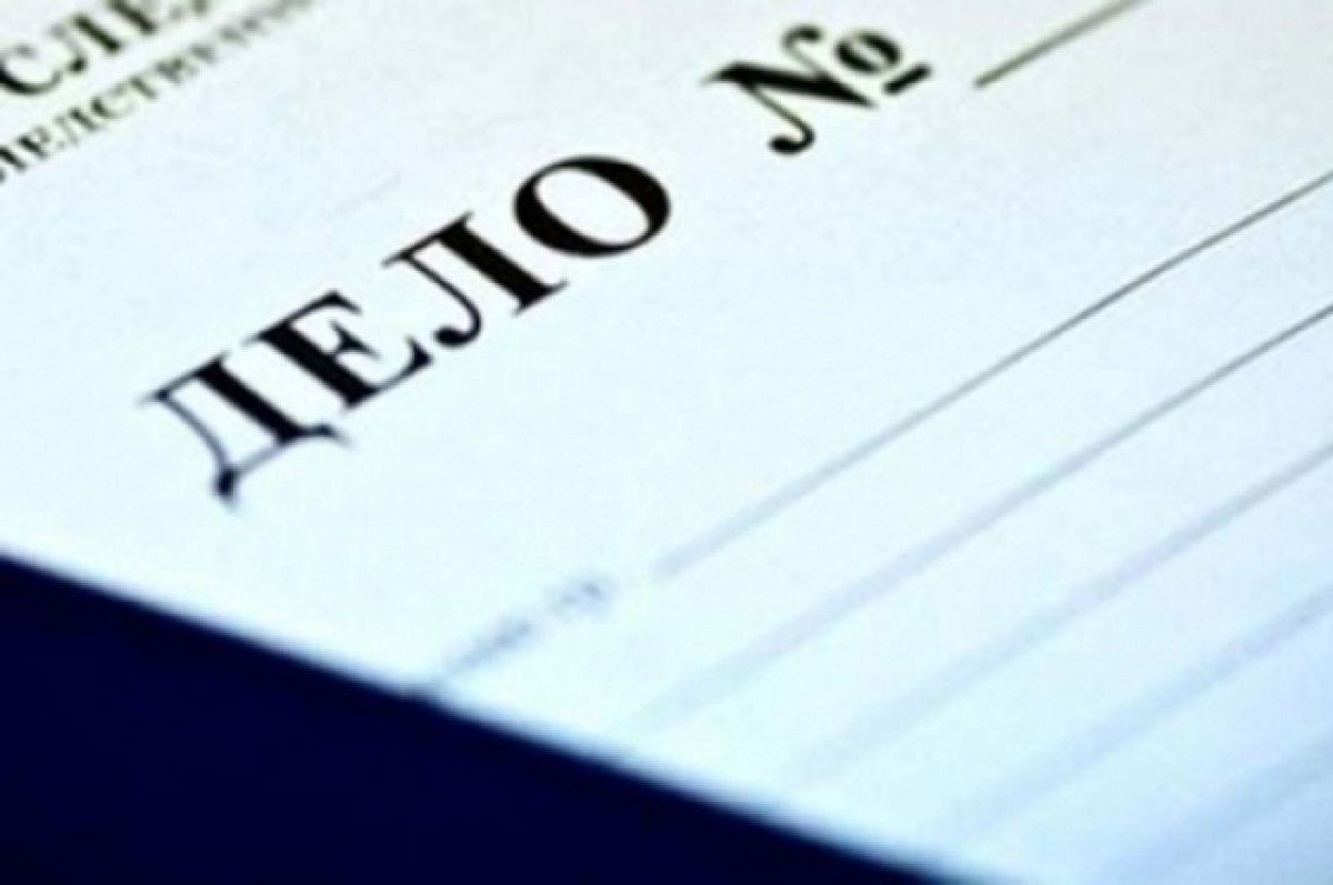 A criminal case was opened against a blogger in Ingushetia